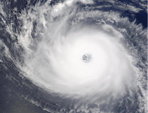 百度飓风算法来袭，你受影响了么？